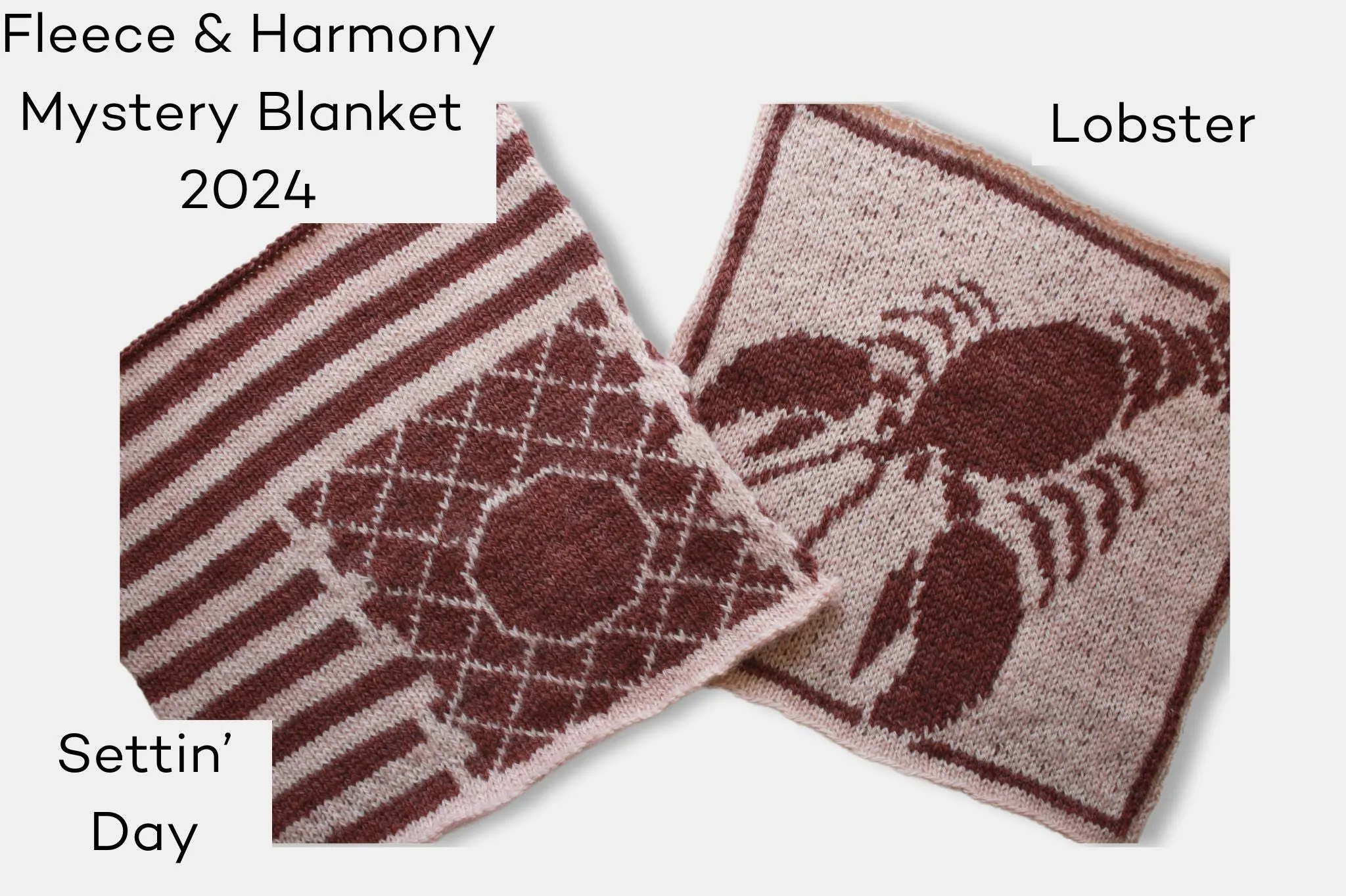 Fleece and Harmony Blanket 2024 May